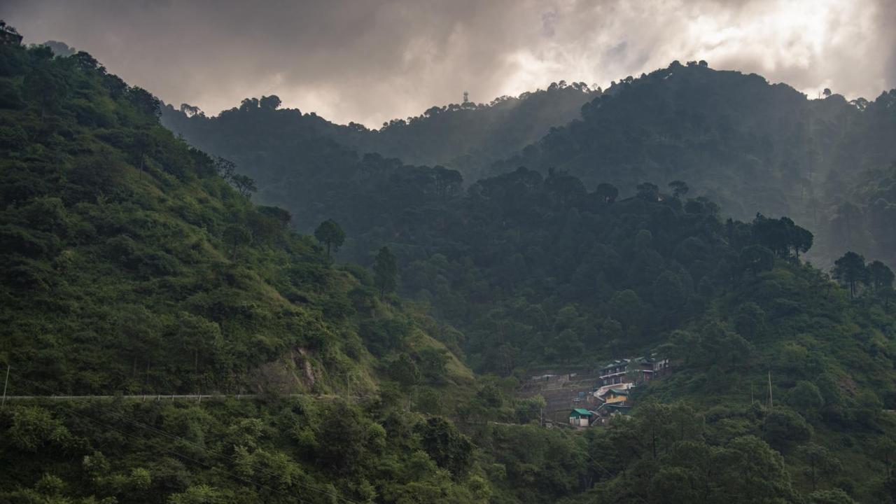 Safarmaina Resort Kasauli Exteriér fotografie