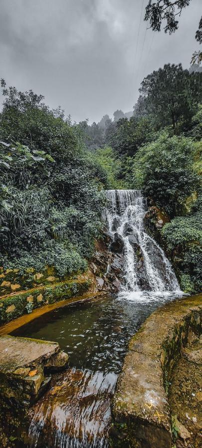 Safarmaina Resort Kasauli Exteriér fotografie