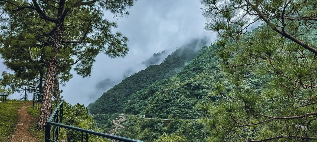 Safarmaina Resort Kasauli Exteriér fotografie