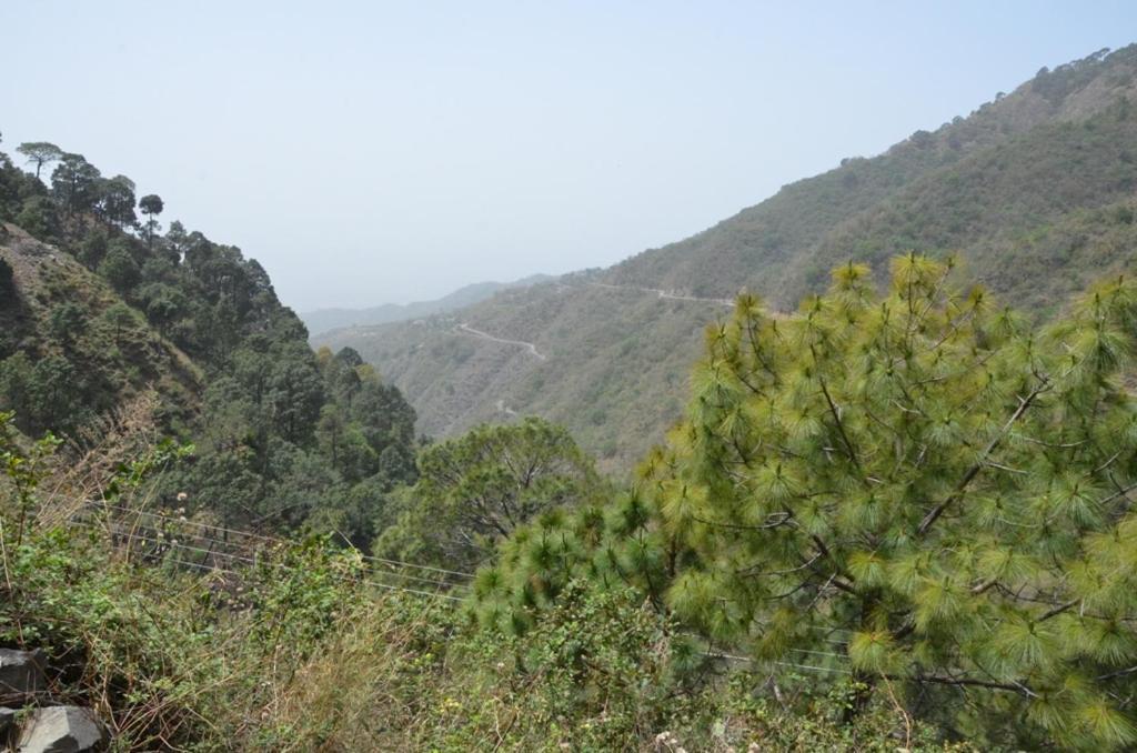 Safarmaina Resort Kasauli Exteriér fotografie