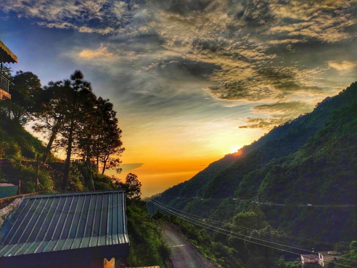 Safarmaina Resort Kasauli Exteriér fotografie