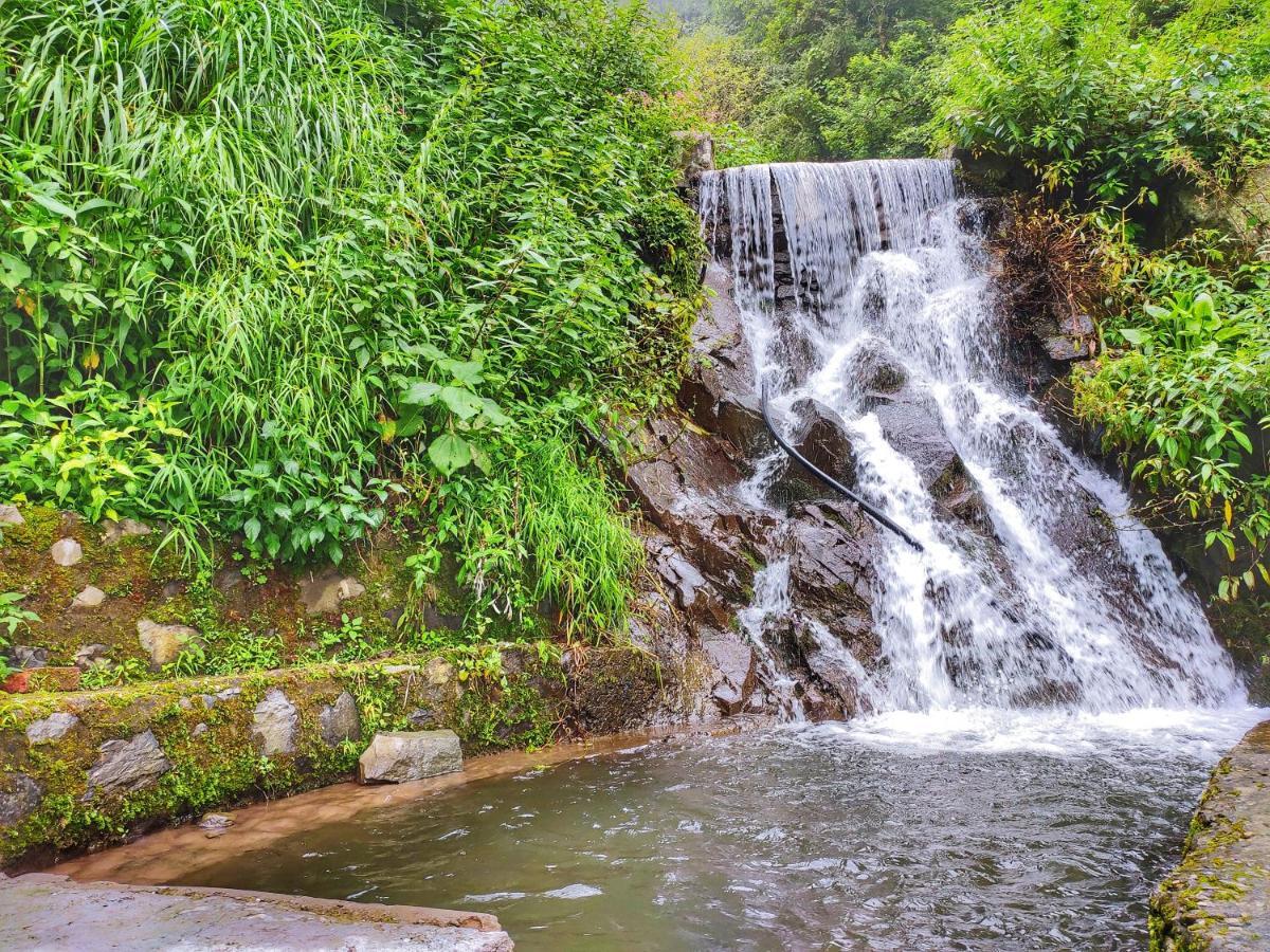 Safarmaina Resort Kasauli Exteriér fotografie